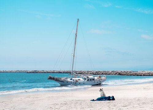 sailboat ship wreck los angeles california with dog and woman