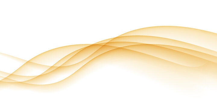 Luxury gold wave background with abstract yellow liquid smoke effect. Elegant smooth flowing lines, dynamic motion swoosh border design element isolated on transparent white.