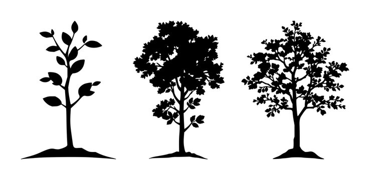 Reforestation tree sapling set with solid black icon on white background featuring tree, sapling, seedlings with environmental and nature symbolism