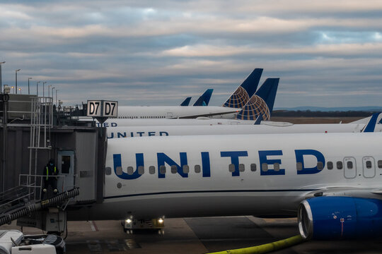 Washington Dulles International Airport, Virginia, USA - January 2, 2024 - United Airlines Boeing 737 aircraft at Gate D7 at dawn, with multiple United Airlines tails visible and ground crew