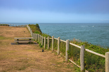 Fototapeta premium Oregon coast fences and the ocean view.
