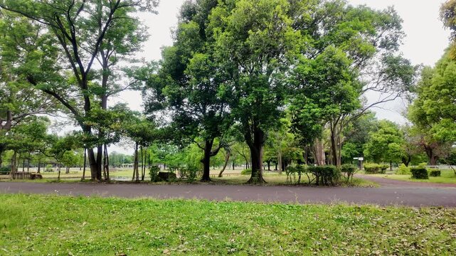 Serene park landscape featuring lush green trees, a paved walking path, and a peaceful grassy area under a cloudy sky