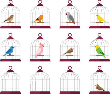 Flat domestic pet bird cage vector illustration collection set with colorful parrots canaries budgies and empty cages isolated on white background