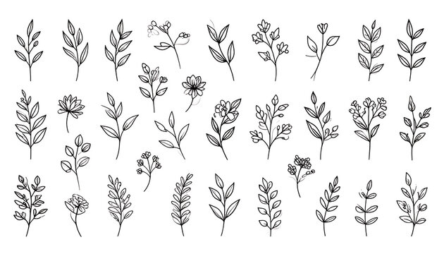 Set of small hand-drawn botanical elements, individual leaf and branch outlines, natural design motifs, organic decoration