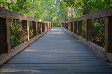Obraz premium Wooden Boardwalk Through Lush Green Forest With Leading Lines and Sunlit Pathway Saw Grass Park, St. Petersburg, FL a peaceful nature walkway ideal for walking, exploration, relaxation, and outdoor ph