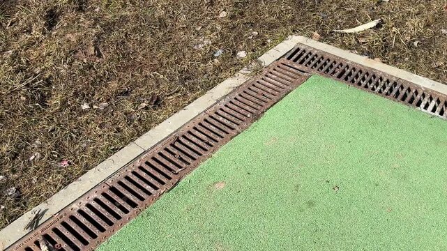 Closeup sports field drainage grate showing rusted iron slots, debris lodged along turf edge, concrete border, textured artificial