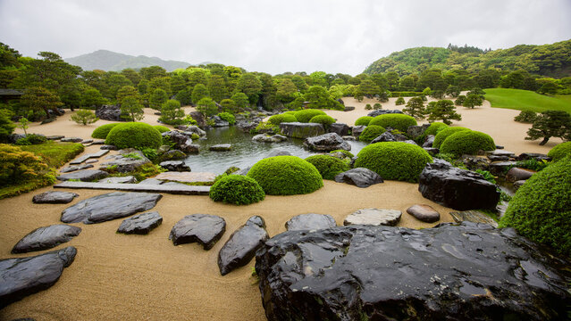 雨に唄う