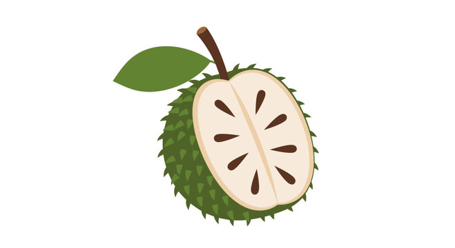 Half cut soursop fruit illustration with green spiky exterior and creamy flesh
