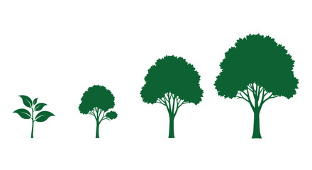 Fototapeta premium Green trees in growth stages.