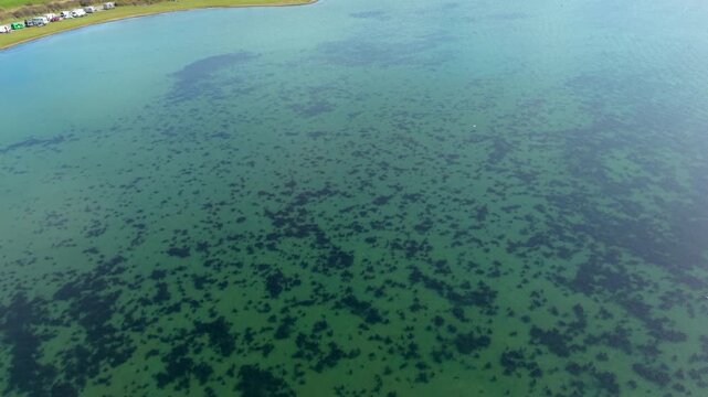 An aerial drone view capturing a vast expanse of clear turquoise water with dark patches of underwater seaweed and algae, with a distant green shoreline and parked campers visible in the corner.