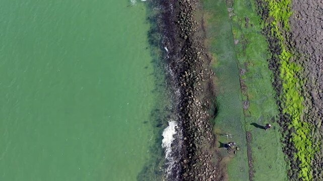 A top-down aerial drone shot of a rocky coastline where clear green water meets a mossy shore, showing small waves breaking on the rocks and a single person standing near fishing gear.