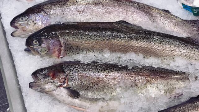 Close-up frozen trout on ice, shimmering silver scales and frosty texture on seafood counter, market vendor arranging display