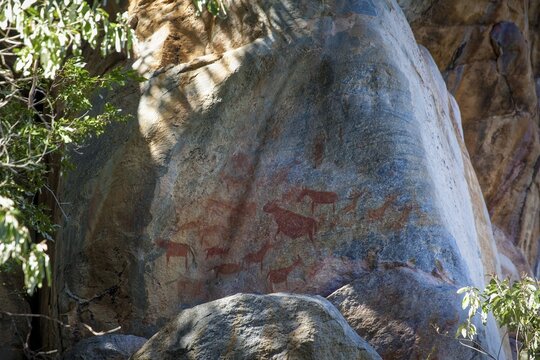 Rock rock painting in Tsodilo Hills, Botswana