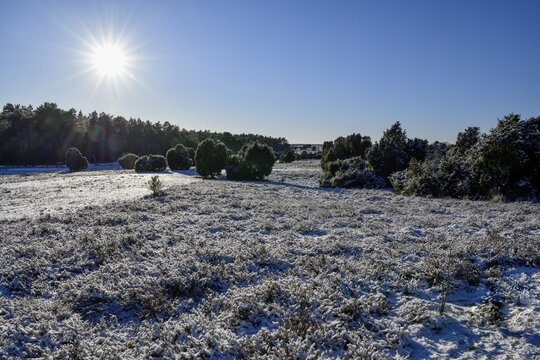 Snow-covered landscape in the L&uuml;neburg Heath nature Park, near Haverbeck, Heidekreis district, Lower Saxony, Germany