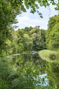 Green landscape at the Templin Canal, Templin, Uckermark, Brandenburg, Germany