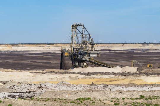 Weaners in the Welzow-S&uuml;d opencast lignite mine, Niederlausitz, Spree-Nei&szlig;e, Brandenburg, Germany