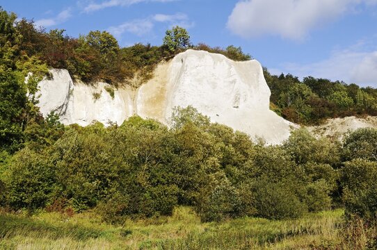 Former chalk quarry, at the back chalk cliff "kleiner Koenigsstuhl", chalk museum Gummanz, Jasmund peninsula, Ruegen Island, Mecklenburg-Western Pomerania, Germany, Europe