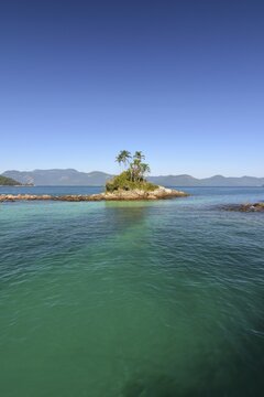Small tropical island Angra dos Reis with palm trees, Ilha Grande, Rio de Janeiro State, Brazil