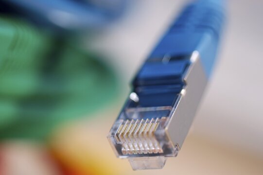 Plug of a blue network cable for computer