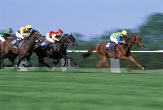Horse racing