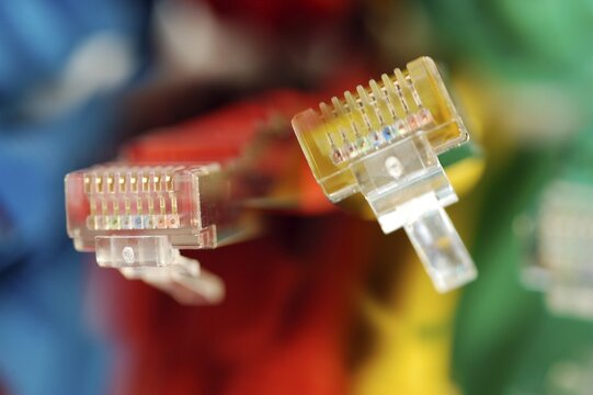 Two plugs of a coloured network cables for computer