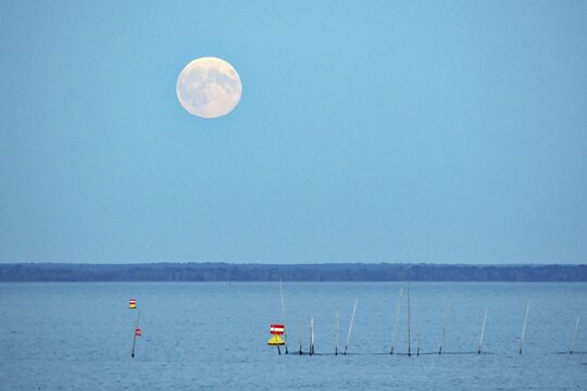 Moon over calm water with buoys, nocturnal atmosphere, M&uuml;ritz, M&uuml;ritz National Park, Mecklenburg-Vorpommern, Germany