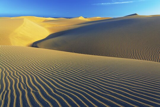 Maspalomas sandy dunes, Gran Canaria, Canary Islands, Spain