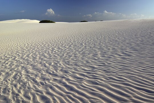 Desert, Len&ccedil;&oacute;is Maranhenses, Len&ccedil;&oacute;is Maranhenses, Barreirinhas, Maranh&atilde;o, Brazil