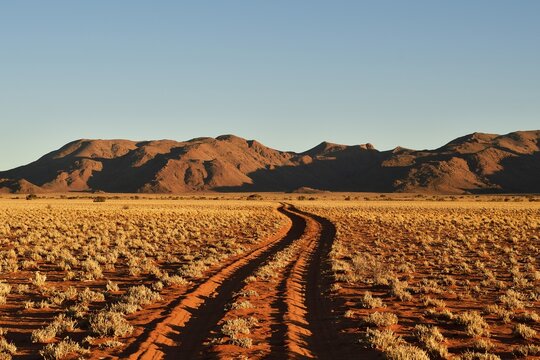 Sandtrack through desert landscape at evening light, in the back Tiras mountains, Namibia
