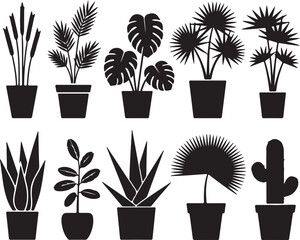 Palm and monstera foliage silhouettes in pots © Icons Queen