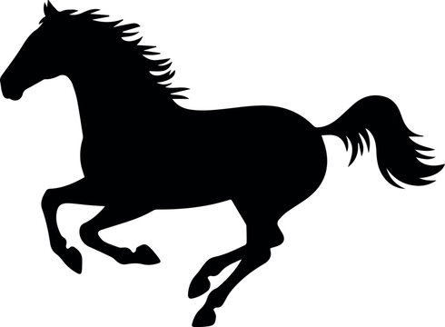 Horse racing and equestrian sport icon set