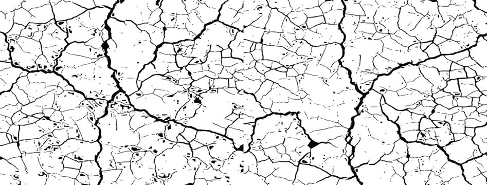 Abstract cracked earth ground texture vector background with realistic black mud lines pattern on white base