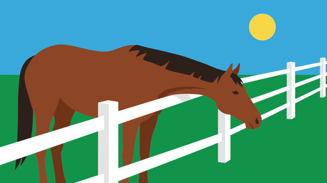 Thoroughbred Horse Stretching Neck Over Paddock Fence