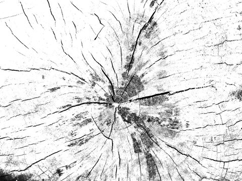 old cracked wood texture transparent
