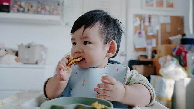 Asian Baby Using Finger to Feed Herself a Food with Baby Led Weaning Concept.Cute Asian baby boy eating finger food in high chair.	
