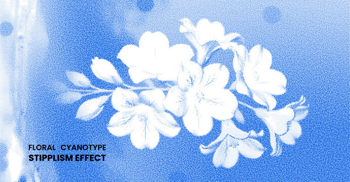Floral cyanotype stipplism effect background vintage botanical illustration of white flowers on blue textured background with pointillism and halftone style
