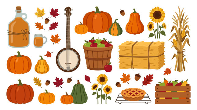 Pumpkins and apple cider jugs with banjo vector elements for traditional autumn harvest festival promotion and thanksgiving community market