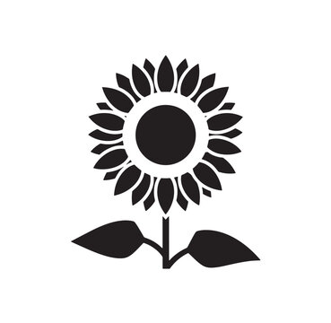 Simple black graphic illustration of a sunflower with petals a central disc stem two basal leaves isolated on white background, stylized