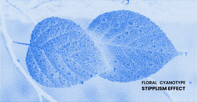 Floral cyanotype stipplism effect with two leaves, blue pointillist art texture background