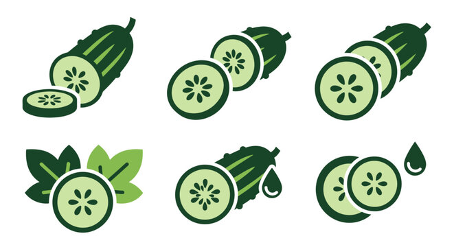 Fresh cucumber slices set vector illustration for food and drink design