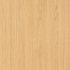 Fototapeta premium Bright Natural Blonde Oak Wood Vertical Grain Texture