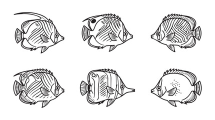 Fototapeta premium Set of hand drawn butterfly fish illustrations with butterflyfish underwater wildlife tropical illustration handdrawn monochrome isolated collection creature swimming minimalist