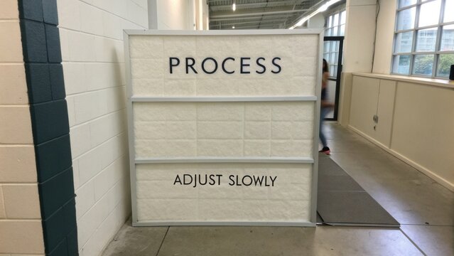 Sign with the word PROCESS on the top and ADJUST SLOWLY on the bottom, emphasizing careful navigation in a professional setting or workspace environment
