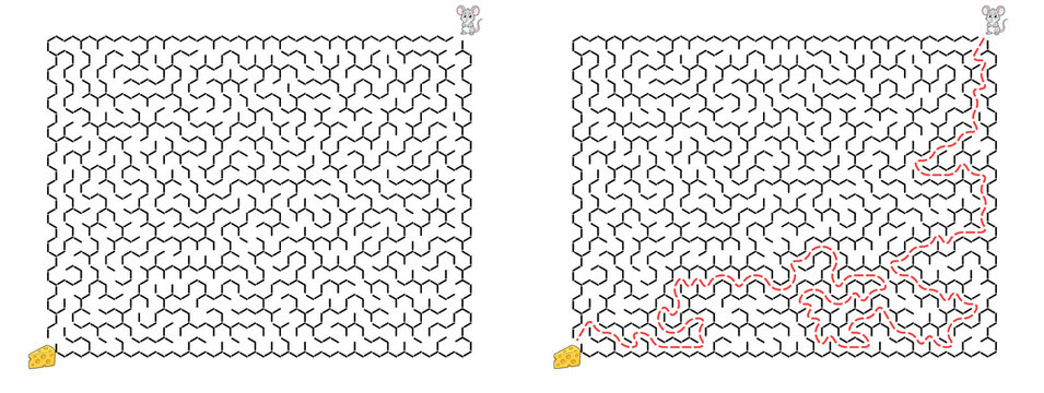 Honeycomb maze for kids activity Mouse path to cheese puzzle
