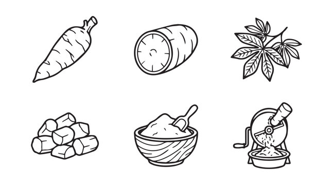 Cassava roots and tapioca starch processing steps line illustration with processing agriculture monochrome illustration ingredient production nutrition culinary vegetable botanical domestic