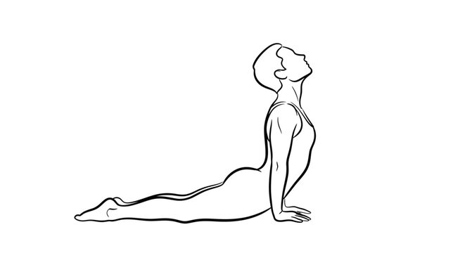 Line art of upward facing dog yoga pose