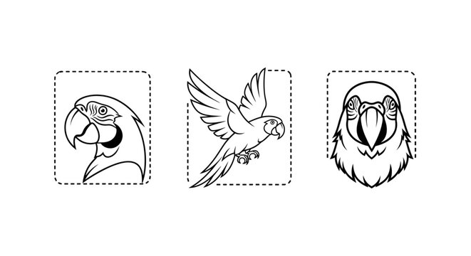 Detailed Black and White Illustrations of Parrots and Beak.