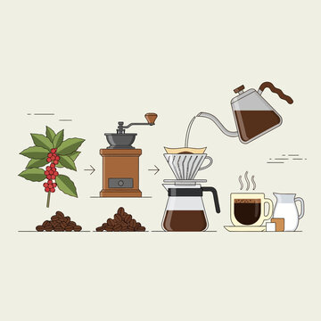 Coffee beans to cup process.