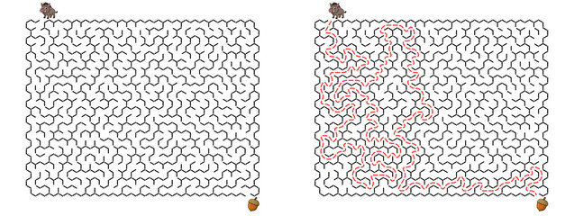Honeycomb maze for kids activity Boar path to acorn puzzle © Alex