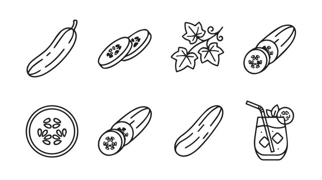 Cucumber vegetable and refreshing drink hand drawn graphic set with cucumber vegetable nutrition vegetarian ingredient culinary refreshing beverage illustration monochrome isolated
